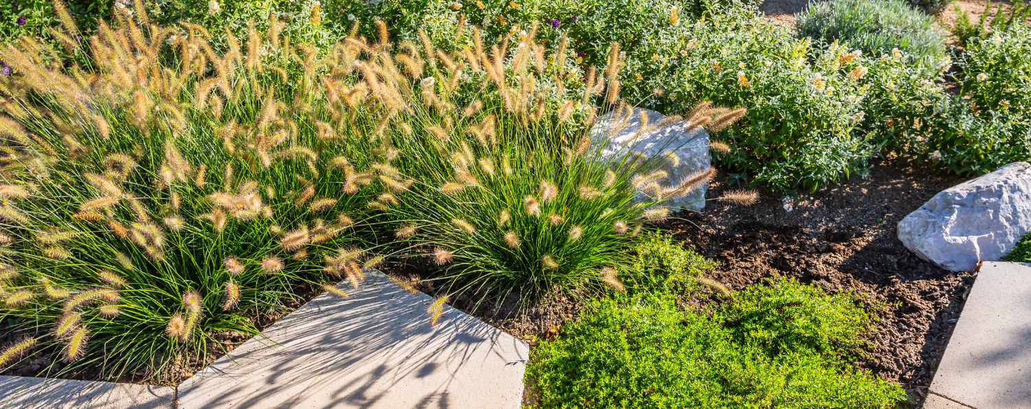 Firewise landscaped yard